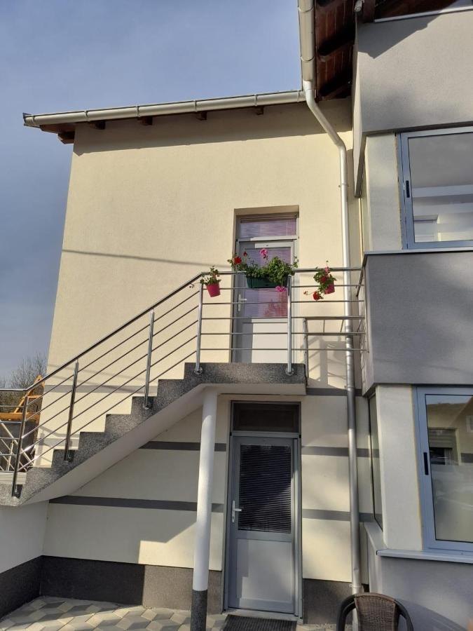 Apartmani Lotus Vrdnik Buitenkant foto
